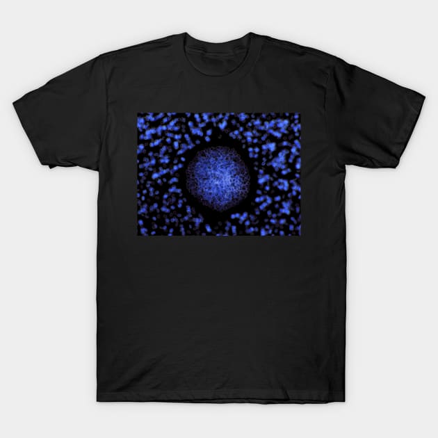 Pholiota mushroom spores under the microscope T-Shirt by SDym Photography